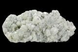 Apophyllite Crystal Cluster - India #122101-1